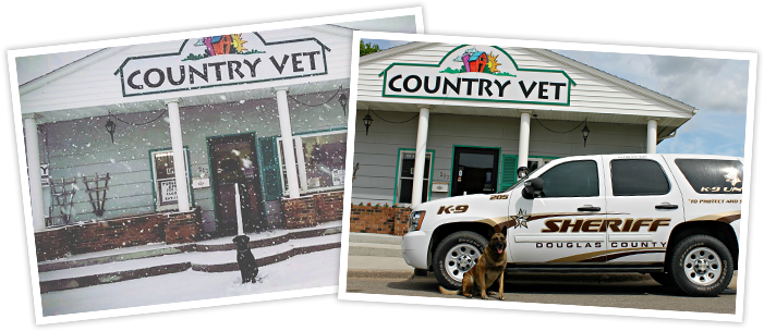 Collage of photos infront of Country Vet clinic